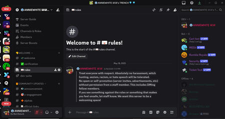 STANDARD DISCORD SERVER